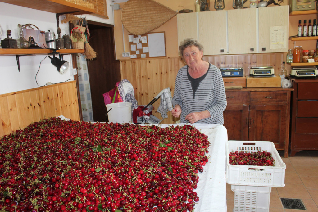 Nona Adrijana je štiri desetletja prodajala češnje na tržnici v Kranju, danes pa pomaga pri prebiranju češenj. 