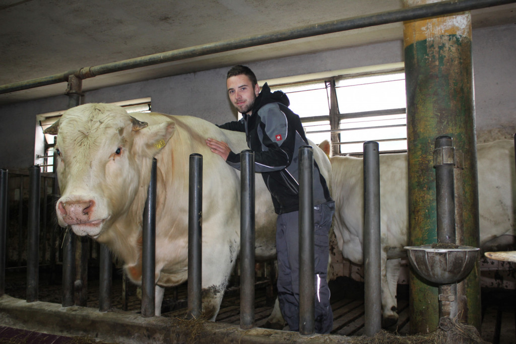 Z Arijem (Arčijem), plemenskim bikom pasme šarole s katerim imata z Mihom, zaradi veliko vloženega truda in časa, prijateljski odnos.