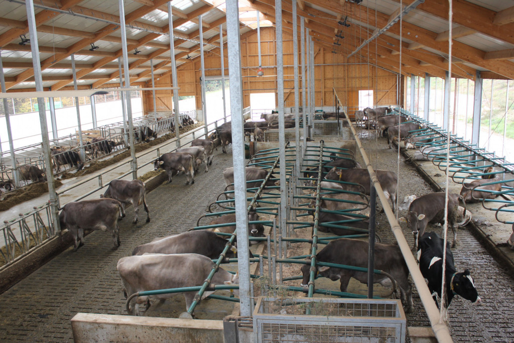 Hlev Andraža Podpečana